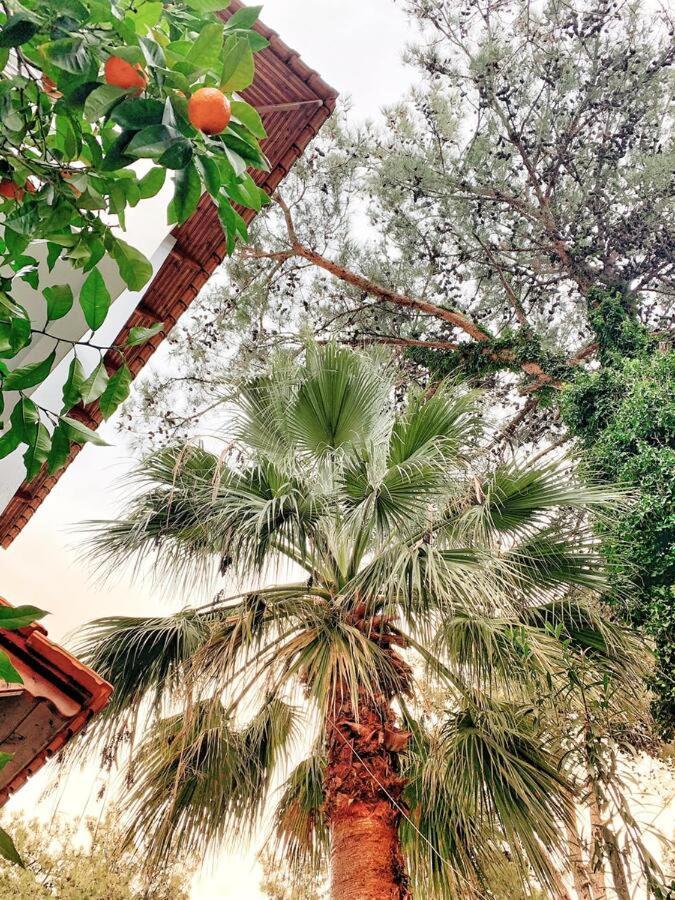 Hotel Villa Anais (Adults Only) Πρίνος Εξωτερικό φωτογραφία